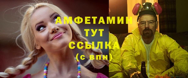 шишки Снежногорск