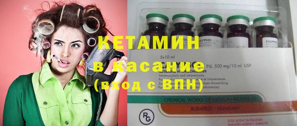 шишки Снежногорск