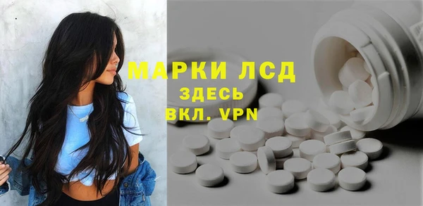 шишки Снежногорск
