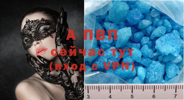 шишки Снежногорск