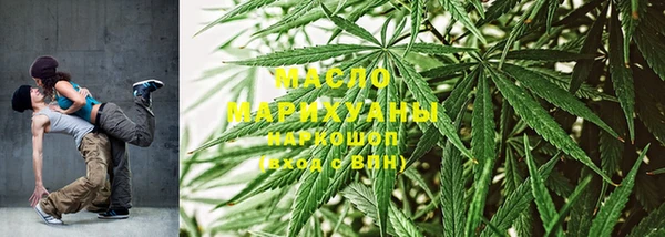 шишки Снежногорск