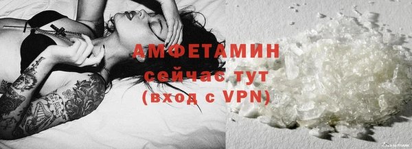 шишки Снежногорск