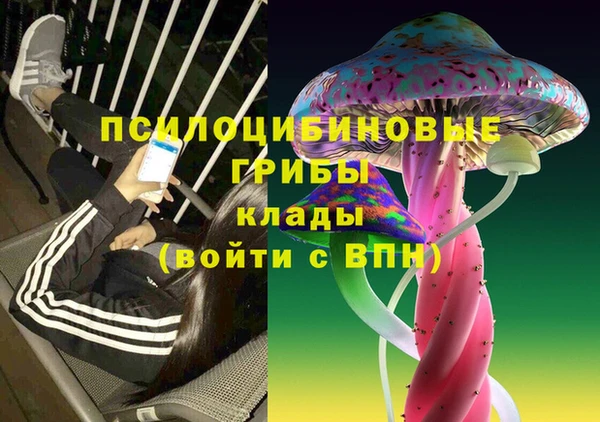 шишки Снежногорск