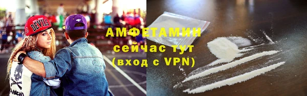 шишки Снежногорск