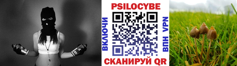 Псилоцибиновые грибы прущие грибы  Купить где  Гурьевск 